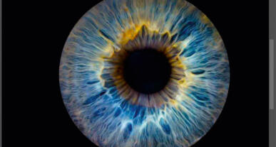 Iris-Foto