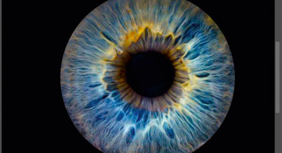 Iris-Foto