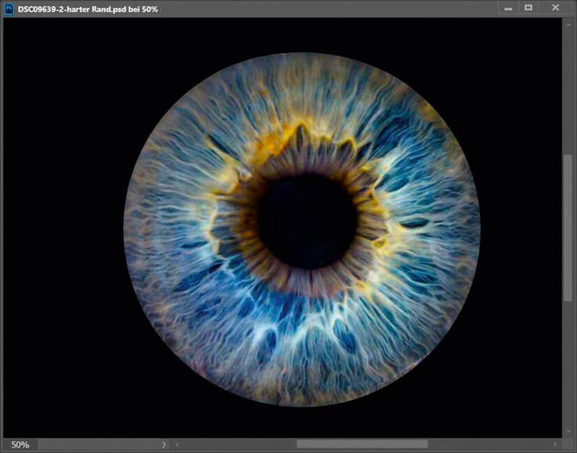 Iris-Foto