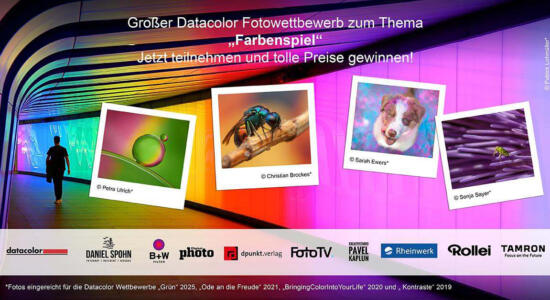 Teaser Datacolor Fotowettbewerb