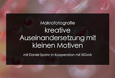 Screenshot Datacolor Webinar