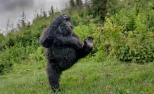 Foto von Mark Metz-Cohn