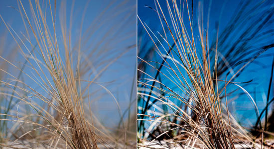 Vergleich Original RAW und Bearbeitung mit Lightroom