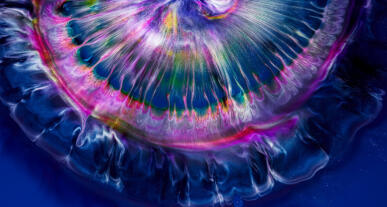 Screenshot aus dem Film „Liquid flowers“