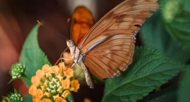 Foto erstellt mit dem Tamron-90er-Makro