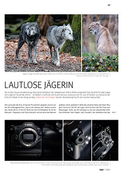 Erfahrungsbericht Canon EOS R3