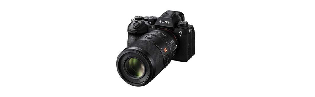 Sony FE 100mm F2.8 Macro GM OSS