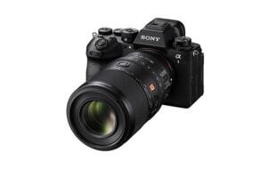 Sony FE 100mm F2.8 Macro GM OSS