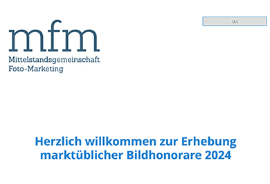 Screenshot mfm-BILDHONORARE